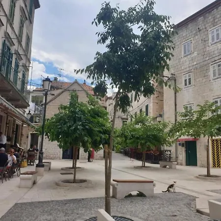 Iva - Modern Downtown