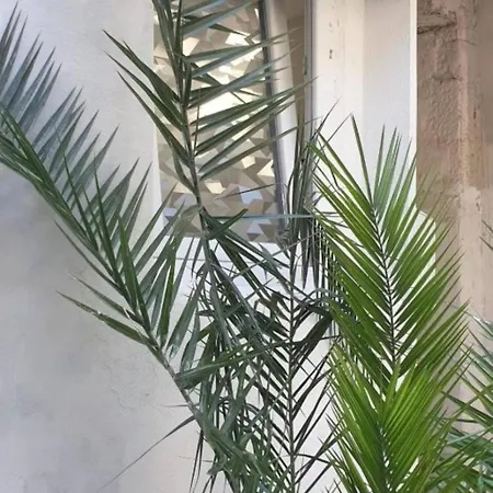 Iva Апартаменти *